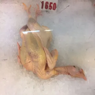 Just like how my dad would buy chickens for special occasions.  This is a free range chicken.