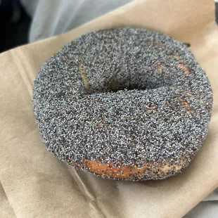 Poppy seed bagel