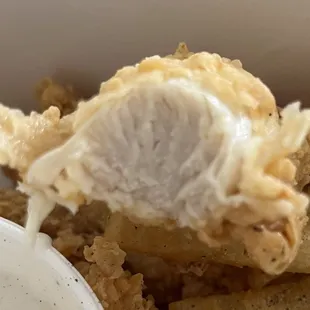 a closeup of a fried chicken and fries