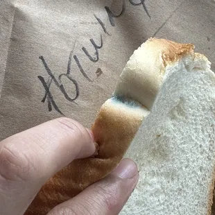 a hand holding a piece of bread