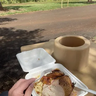 Mixed plate with chicken and pork.