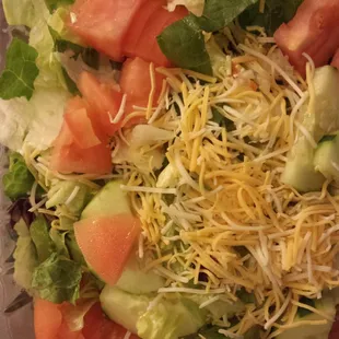 Large garden salad