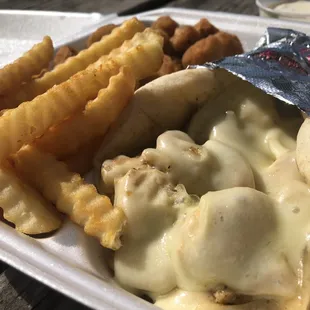Chicken Pita with Fries and Fried Okra