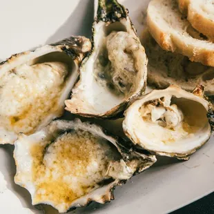 CHARBROIL OYSTERS :)