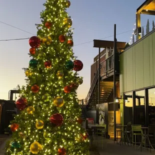  a lighted christmas tree
