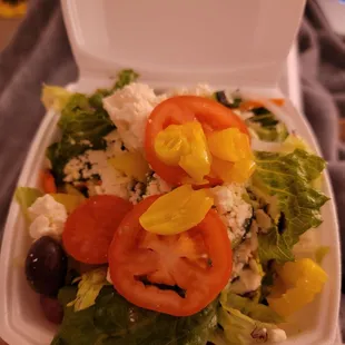 Salad (comes with Gyros Plate)