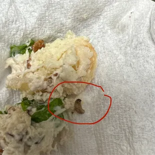 a red circle circled by a piece of bread