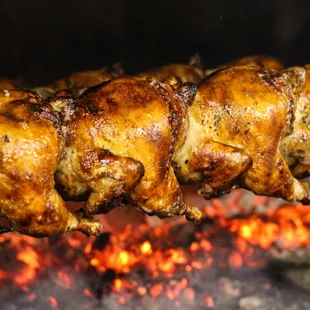chicken, chicken wings and fried chicken, bbq chicken, bbq wings, poultry, chicken wings, food, fried chicken wings, fried chicken