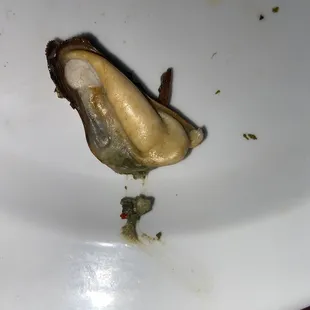 Mussels X Poop ewww