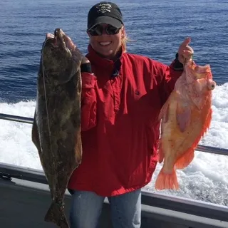 Lynn M.