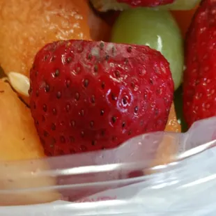 moldy fruit salad