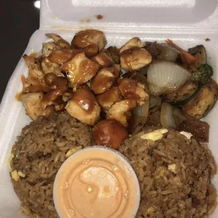 Chicken Teriyaki &amp; Fried Rice