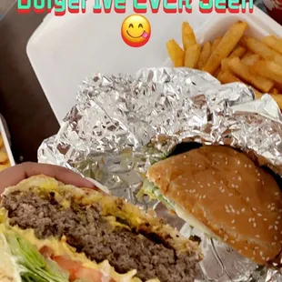 A Big Ol Burger And Generous Portion of Seasoned Fries