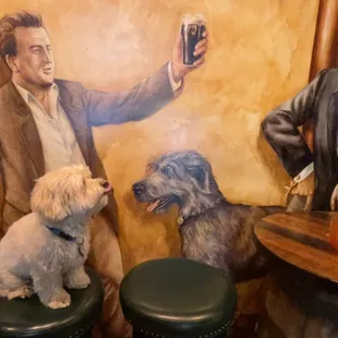 a man and two dogs in a bar
