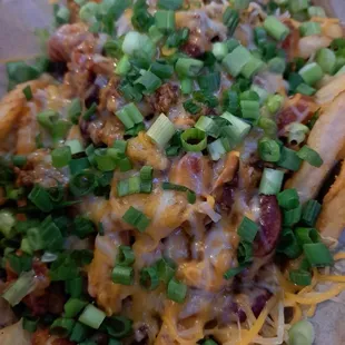 Chili fries, extra green onion