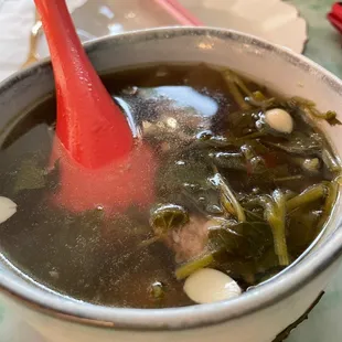 Popo 's Wellness Soup