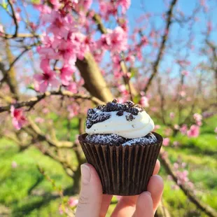 oreo cupcake! cake was moist and delicious, but the icing a bit too sweet