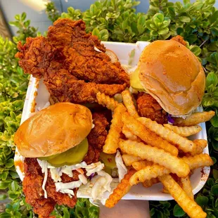 chicken wings, food, bbq wings, bbq chicken, chicken, chicken wings and fried chicken, poultry, fried chicken wings, fried chicken