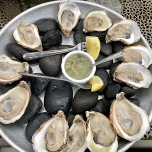 Oysters!!!!