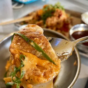 DELICIOUS Pork Dumpling !