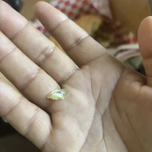 My wife found a little piece of glass on her chilaquiles.