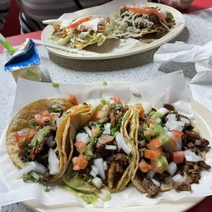 Tacos chorizo, carnitas, al pastor and pollo and Barbacoa tostadas