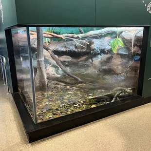 Fish tank