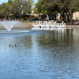 Outside the aquarium