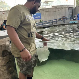 Petting stingrays