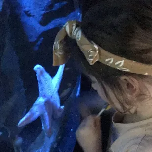 Star fish mesmerized her.