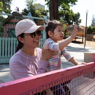 Kids love saying hi to our gentle animals!