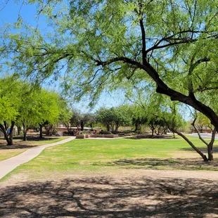 Walking path in the park