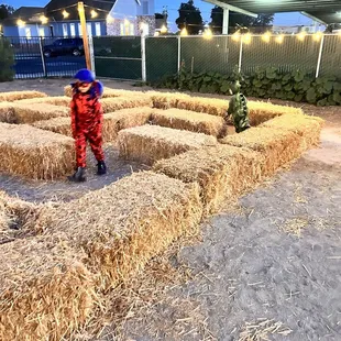 Hay maze during Halloween