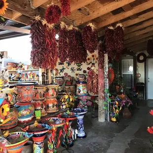 a variety of chilis and sunflowers