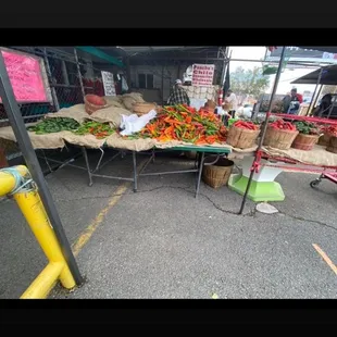 Options: X-Hot to reds...