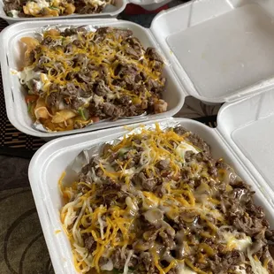 Carne Asada Fries!