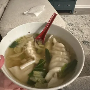 Dumpling Soup