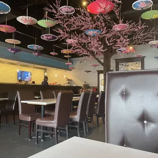 The most beautiful ceiling decor!