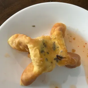 Moldy Crab Wonton