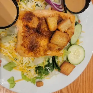 Huge piece of salmon