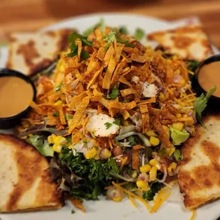 Quesadilla explain salad