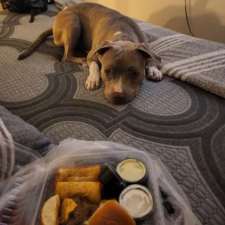 Southwestern Eggrolls