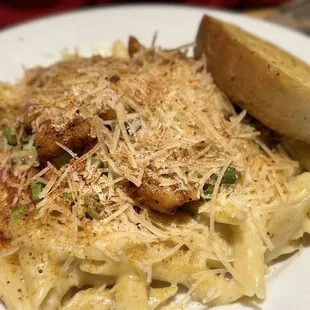 pasta dish, pasta, food