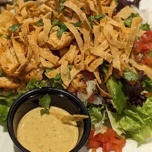 Grilled Chicken salad...very good