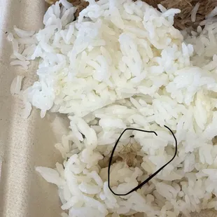 Roach in food