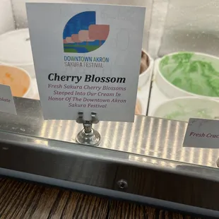 cherry blossom and green tea