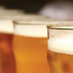 a row of beer glasses