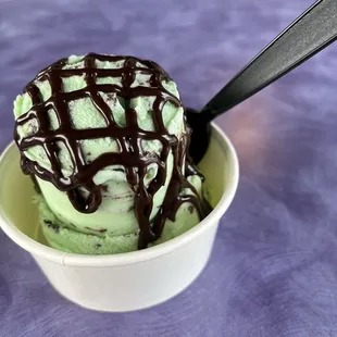 Small Mint chocolate chip with chocolate sauce