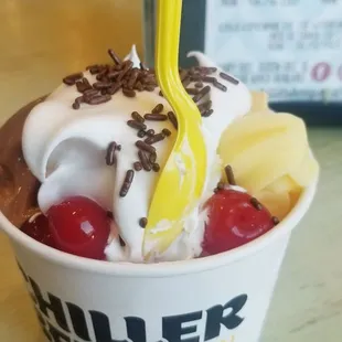 a bowl of ice cream and fruit