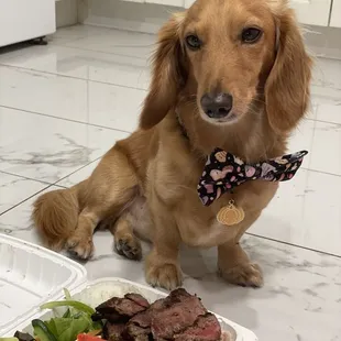steak